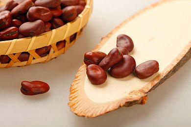 《原神》2.1版本联动《地平线》埃洛伊角色预告